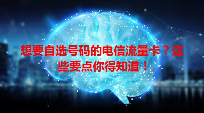 想要自选号码的电信流量卡？这些要点你得知道！