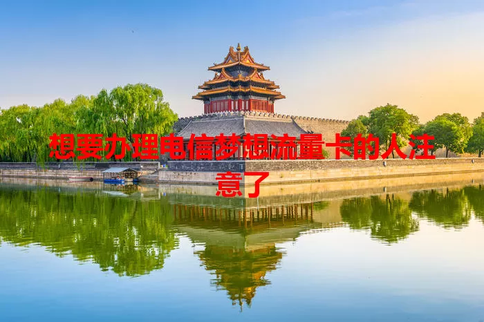 想要办理电信梦想流量卡的人注意了