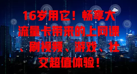 16岁用它！畅享大流量卡带来的上网课、刷视频、游戏、社交超值体验！