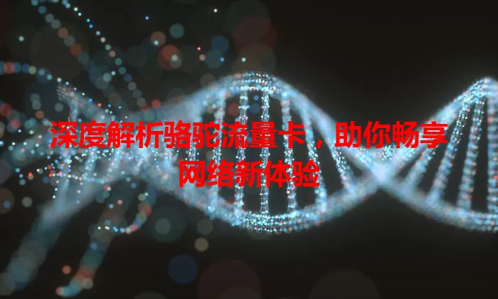 深度解析骆驼流量卡，助你畅享网络新体验