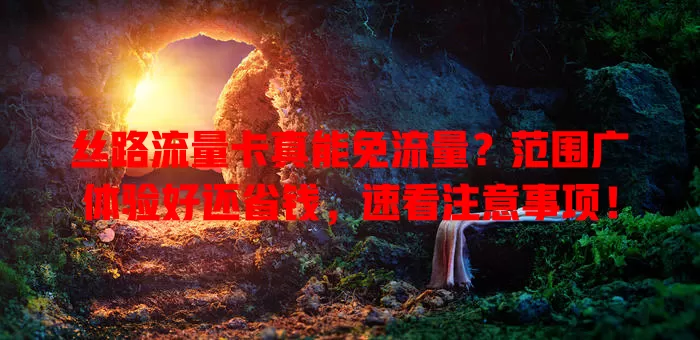 丝路流量卡真能免流量？范围广体验好还省钱，速看注意事项！