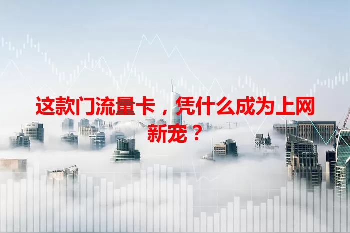 这款门流量卡，凭什么成为上网新宠？