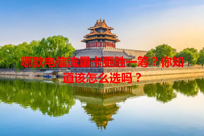 哪款电信流量卡更胜一筹？你知道该怎么选吗？