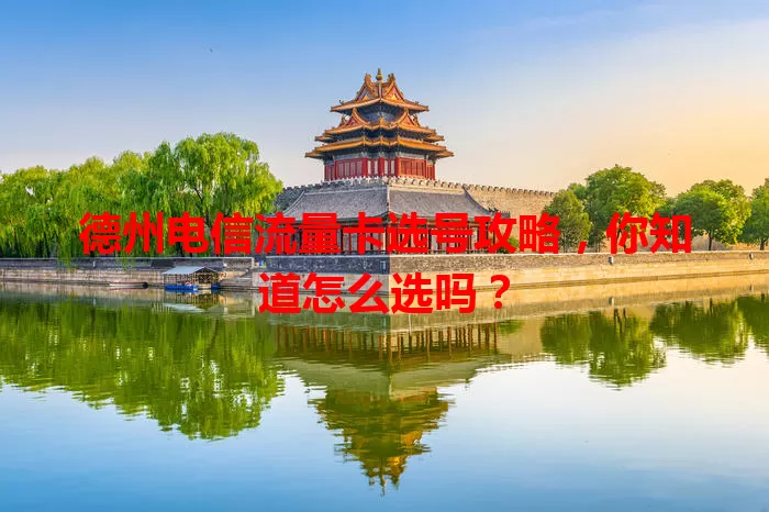 德州电信流量卡选号攻略，你知道怎么选吗？