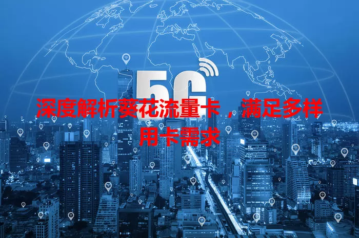 深度解析葵花流量卡，满足多样用卡需求