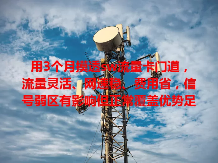 用3个月摸透sw流量卡门道，流量灵活、网速稳、费用省，信号弱区有影响但正常覆盖优势足