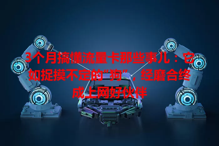 3个月搞懂流量卡那些事儿：它如捉摸不定的“狗”，经磨合终成上网好伙伴