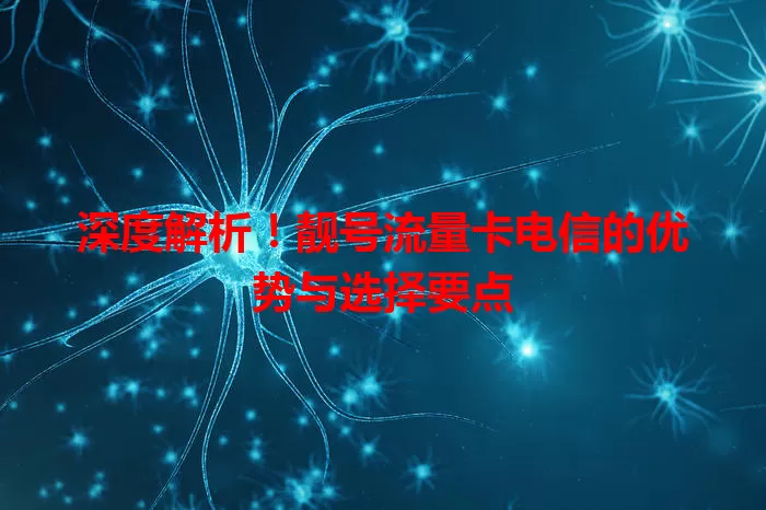 深度解析！靓号流量卡电信的优势与选择要点