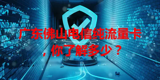 广东佛山电信纯流量卡，你了解多少？