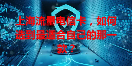 上海流量电信卡，如何选到最适合自己的那一款？