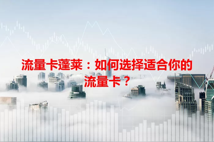 流量卡蓬莱：如何选择适合你的流量卡？