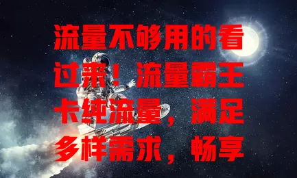 流量不够用的看过来！流量霸王卡纯流量，满足多样需求，畅享便捷上网