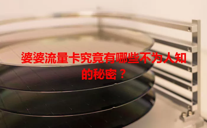婆婆流量卡究竟有哪些不为人知的秘密？