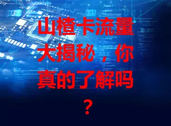 山楂卡流量大揭秘，你真的了解吗？