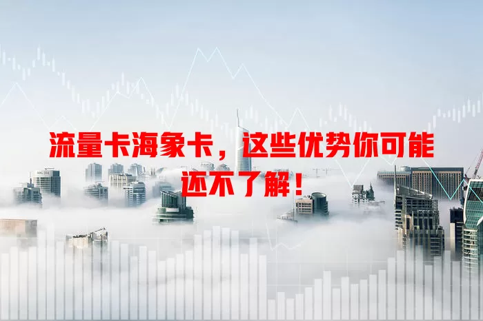 流量卡海象卡，这些优势你可能还不了解！