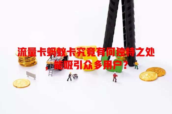 流量卡蚂蚁卡究竟有何独特之处，能吸引众多用户？