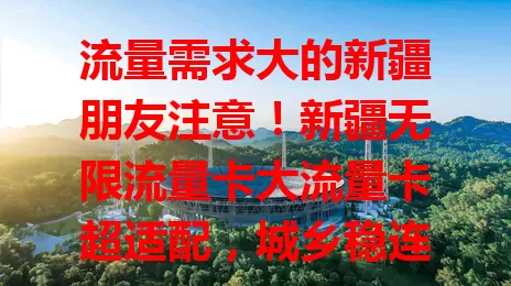 流量需求大的新疆朋友注意！新疆无限流量卡大流量卡超适配，城乡稳连网，差旅随心用，工作高效畅，告别流量愁，开启精彩网络之旅