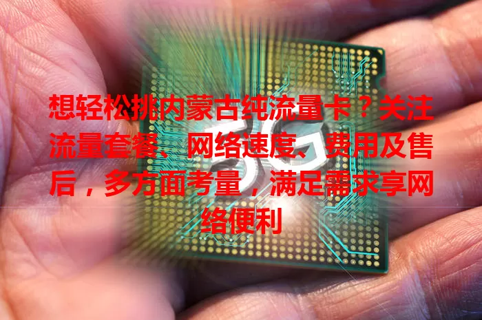 想轻松挑内蒙古纯流量卡？关注流量套餐、网络速度、费用及售后，多方面考量，满足需求享网络便利