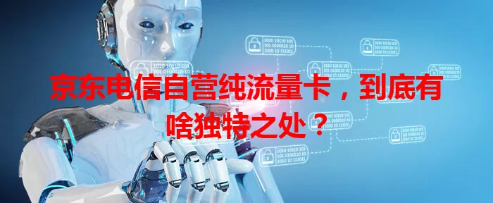 京东电信自营纯流量卡，到底有啥独特之处？