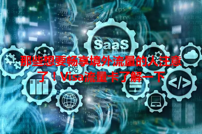 那些想要畅享境外流量的人注意了！Visa流量卡了解一下