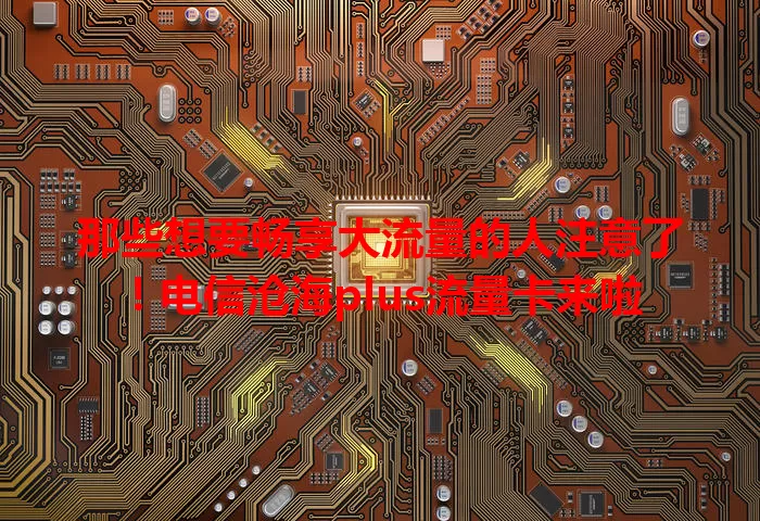 那些想要畅享大流量的人注意了！电信沧海plus流量卡来啦