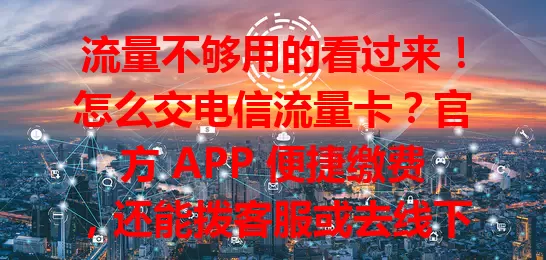 流量不够用的看过来！怎么交电信流量卡？官方 APP 便捷缴费，还能拨客服或去线下营业厅，记得提供准确信息，关注优惠选套餐，让手机随时满流量！