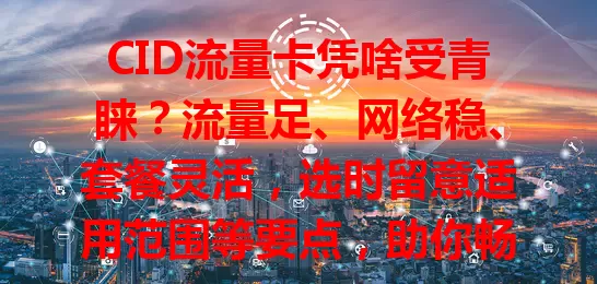CID流量卡凭啥受青睐？流量足、网络稳、套餐灵活，选时留意适用范围等要点，助你畅享便捷网络
