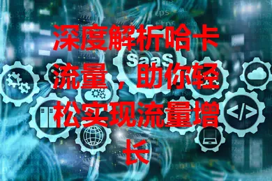 深度解析哈卡流量，助你轻松实现流量增长