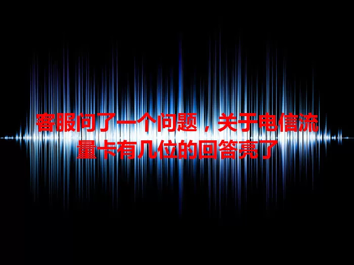 客服问了一个问题，关于电信流量卡有几位的回答亮了