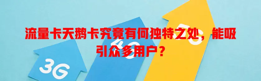 流量卡天鹅卡究竟有何独特之处，能吸引众多用户？