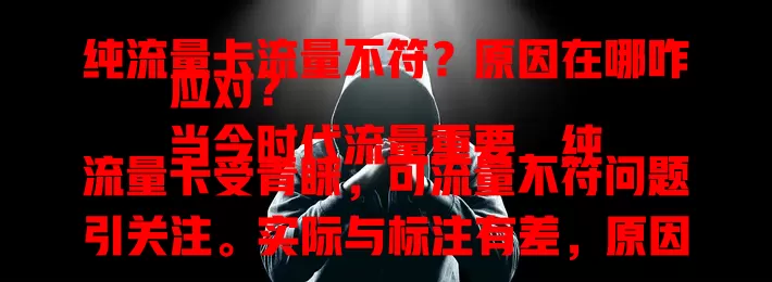 纯流量卡流量不符？原因在哪咋应对？
当今时代流量重要，纯流量卡受青睐，可流量不符问题引关注。实际与标注有差，原因或是网络波动、套餐模糊。用户遇此咋做？提供商咋改进？一起了解解决之道