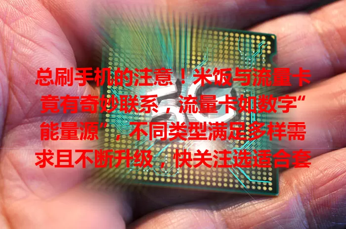 总刷手机的注意！米饭与流量卡竟有奇妙联系，流量卡如数字“能量源”，不同类型满足多样需求且不断升级，快关注选适合套餐