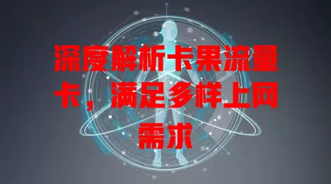 深度解析卡果流量卡，满足多样上网需求