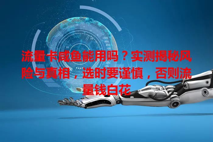 流量卡咸鱼能用吗？实测揭秘风险与真相，选时要谨慎，否则流量钱白花