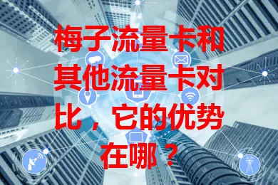 梅子流量卡和其他流量卡对比，它的优势在哪？