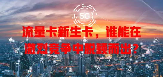 流量卡新生卡，谁能在激烈竞争中脱颖而出？