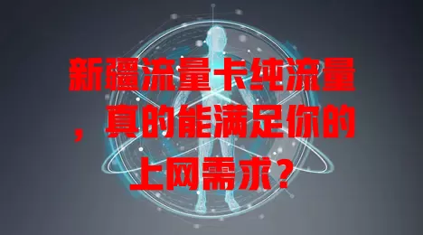新疆流量卡纯流量，真的能满足你的上网需求？