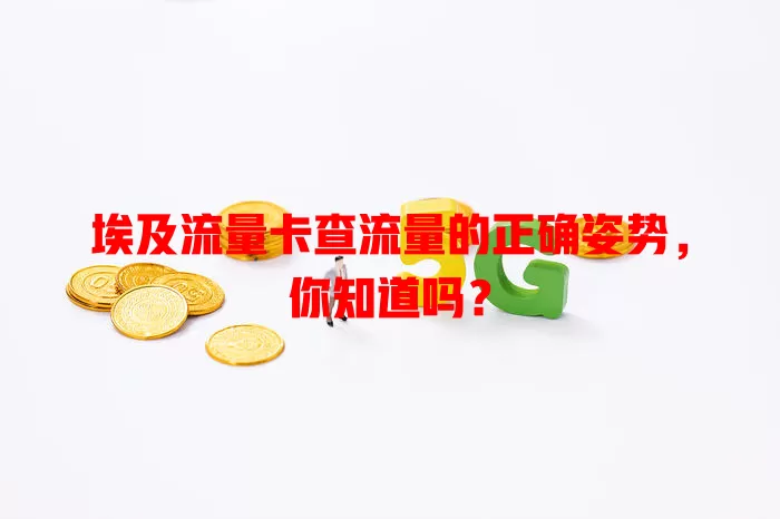 埃及流量卡查流量的正确姿势，你知道吗？