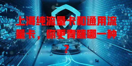 上海纯流量卡和通用流量卡，你更青睐哪一种？
