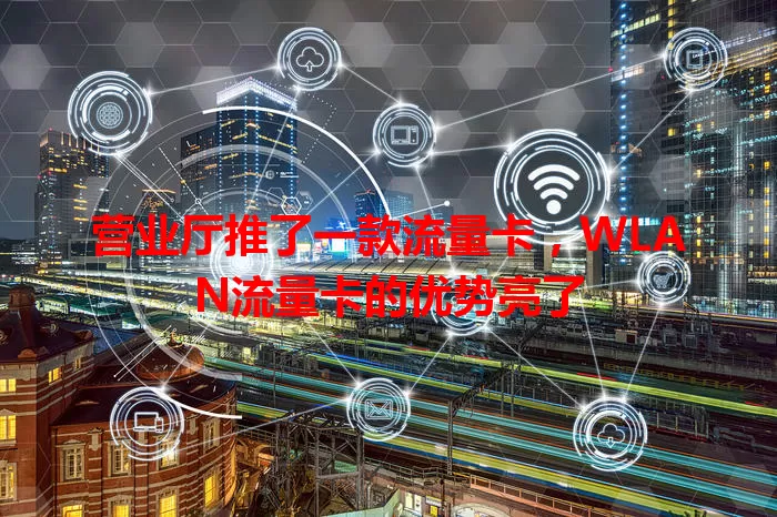 营业厅推了一款流量卡，WLAN流量卡的优势亮了