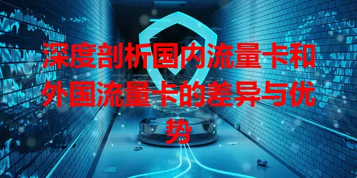 深度剖析国内流量卡和外国流量卡的差异与优势