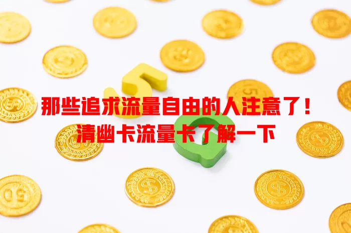 那些追求流量自由的人注意了！清幽卡流量卡了解一下