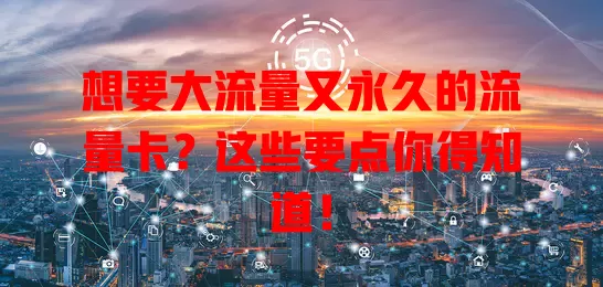想要大流量又永久的流量卡？这些要点你得知道！