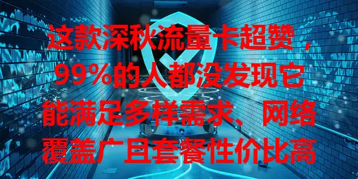这款深秋流量卡超赞，99%的人都没发现它能满足多样需求、网络覆盖广且套餐性价比高！