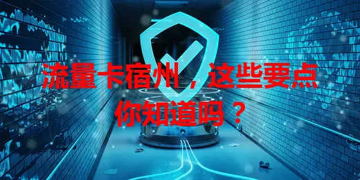 流量卡宿州，这些要点你知道吗？
