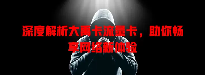 深度解析大禹卡流量卡，助你畅享网络新体验