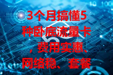 3个月搞懂5种卧底流量卡，费用实惠、网络稳、套餐灵活，选时留意要点，畅享便利实惠