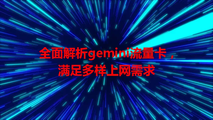 全面解析gemini流量卡，满足多样上网需求