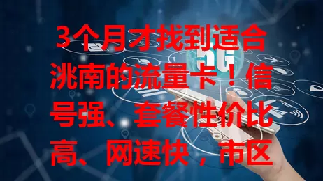 3个月才找到适合洮南的流量卡！信号强、套餐性价比高、网速快，市区乡村都稳，不同需求套餐可选，助你畅享洮南网络生活