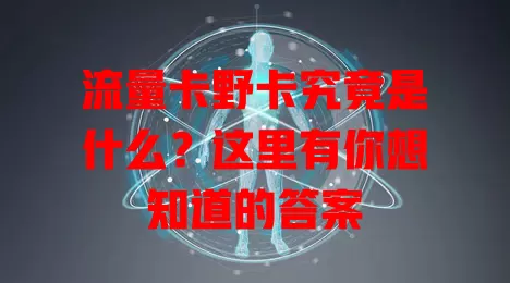 流量卡野卡究竟是什么？这里有你想知道的答案